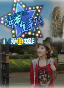 截至目前，已参与15部国内外动画电影，累计票房超过33亿元。